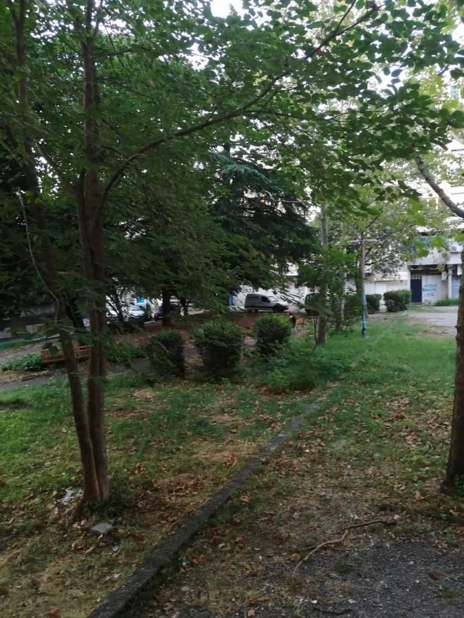 Апартаменты Yellow apartment, central Podgorica Подгорица-20