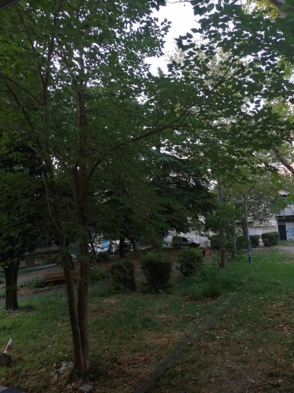 Апартаменты Yellow apartment, central Podgorica Подгорица-37