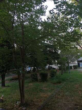 Апартаменты Yellow apartment, central Podgorica Подгорица Апартаменты с 3 спальнями-16